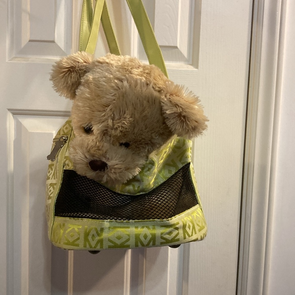 Small Pet light green carrier tote in like-new condition with front pocket - Picture 2 of 12